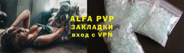 крисы Надым