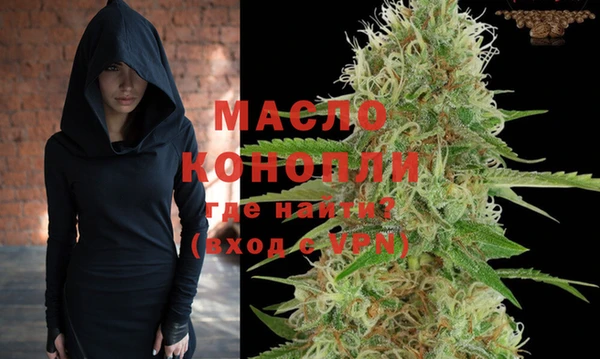 крисы Надым