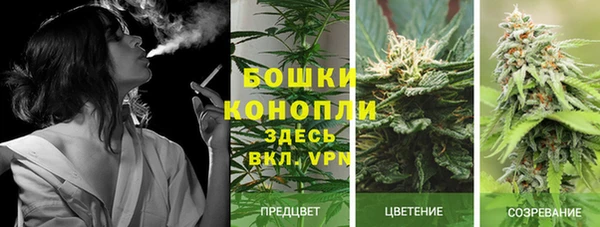 гашик Нефтекумск