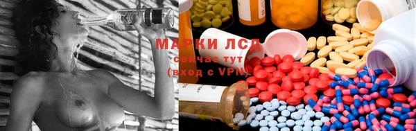 крисы Надым