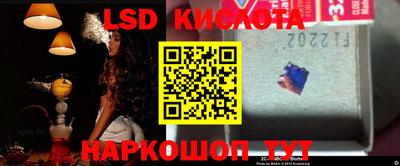 гашик Бузулук