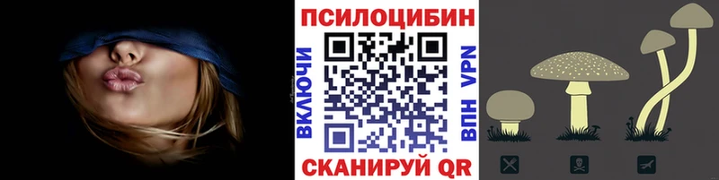 Псилоцибиновые грибы MAGIC MUSHROOMS  где найти наркотики  мега онион  Шадринск 
