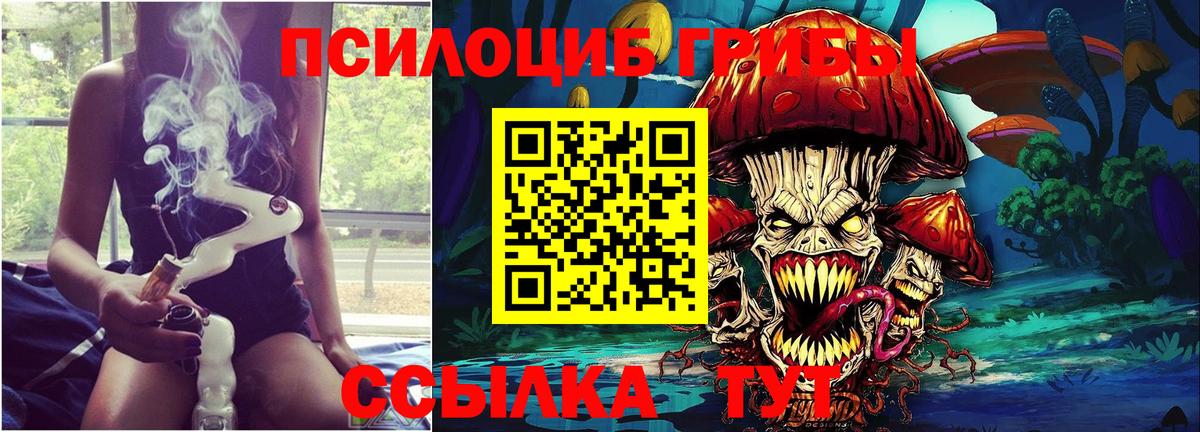 Шадринск  Галлюциногенные грибы ЛСД  Вход с VPN 