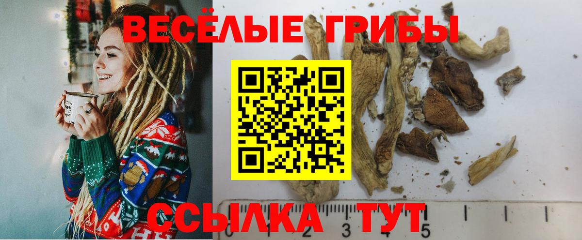 Псилоцибиновые грибы Cubensis Шадринск