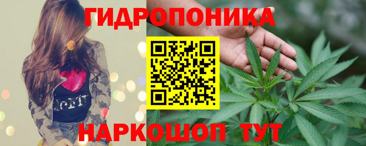 Каннабис Amnesia  Вход с VPN  Каннабис White Widow  Шадринск 